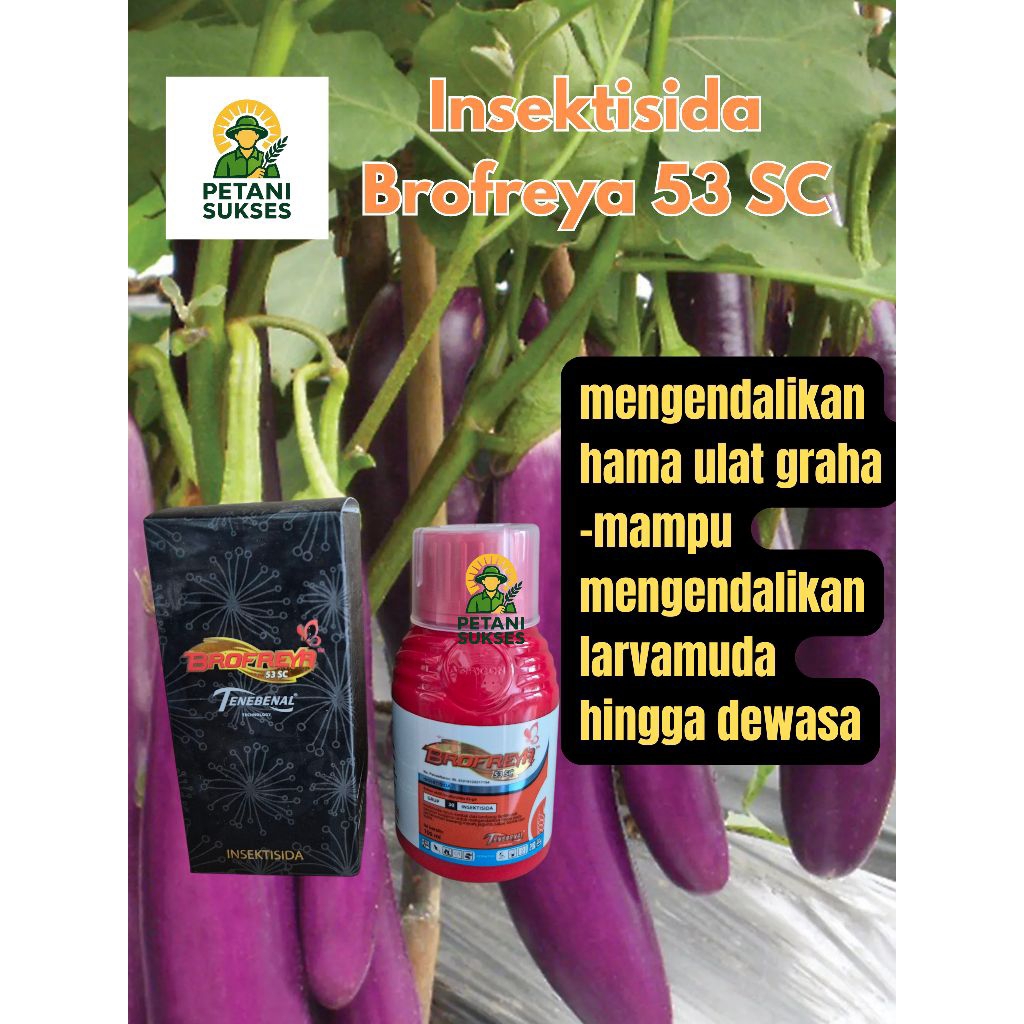 BROFREYA 53 SC 100 ML