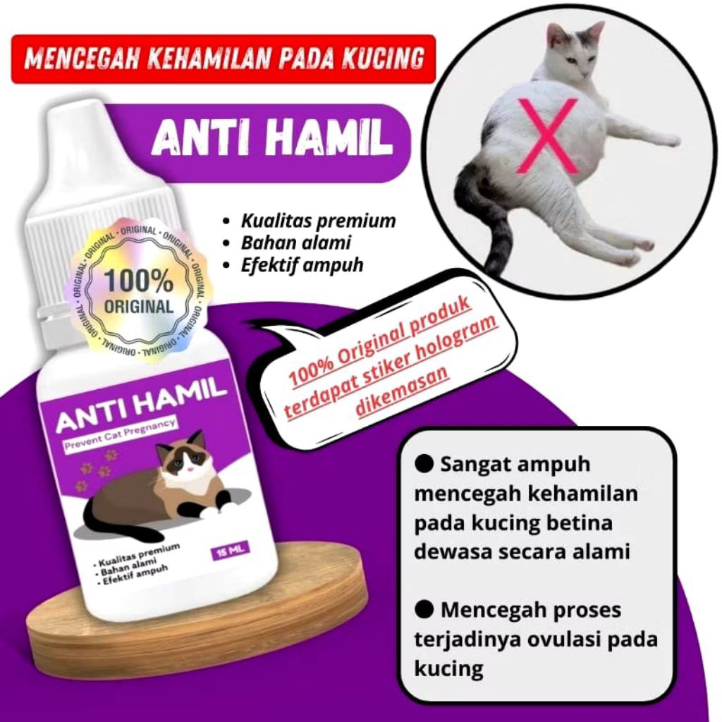 Obat Cegah Kehamilan Kucing / Obat KB untuk kucing