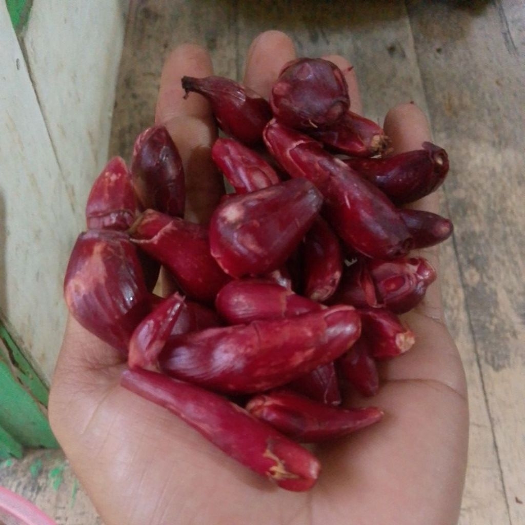 bawang dayak/ bawang tiwai basah  1kg