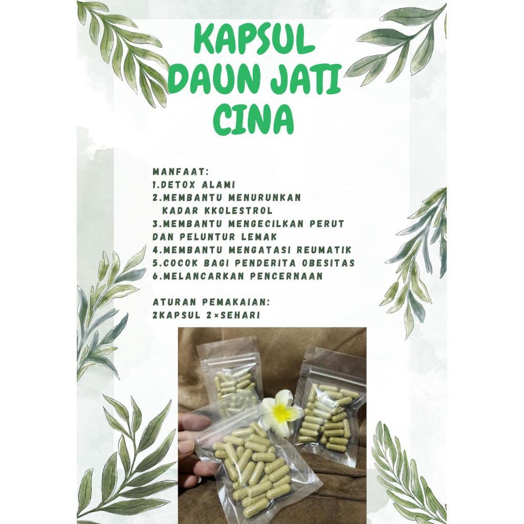 Kapsul teh daun jati cina