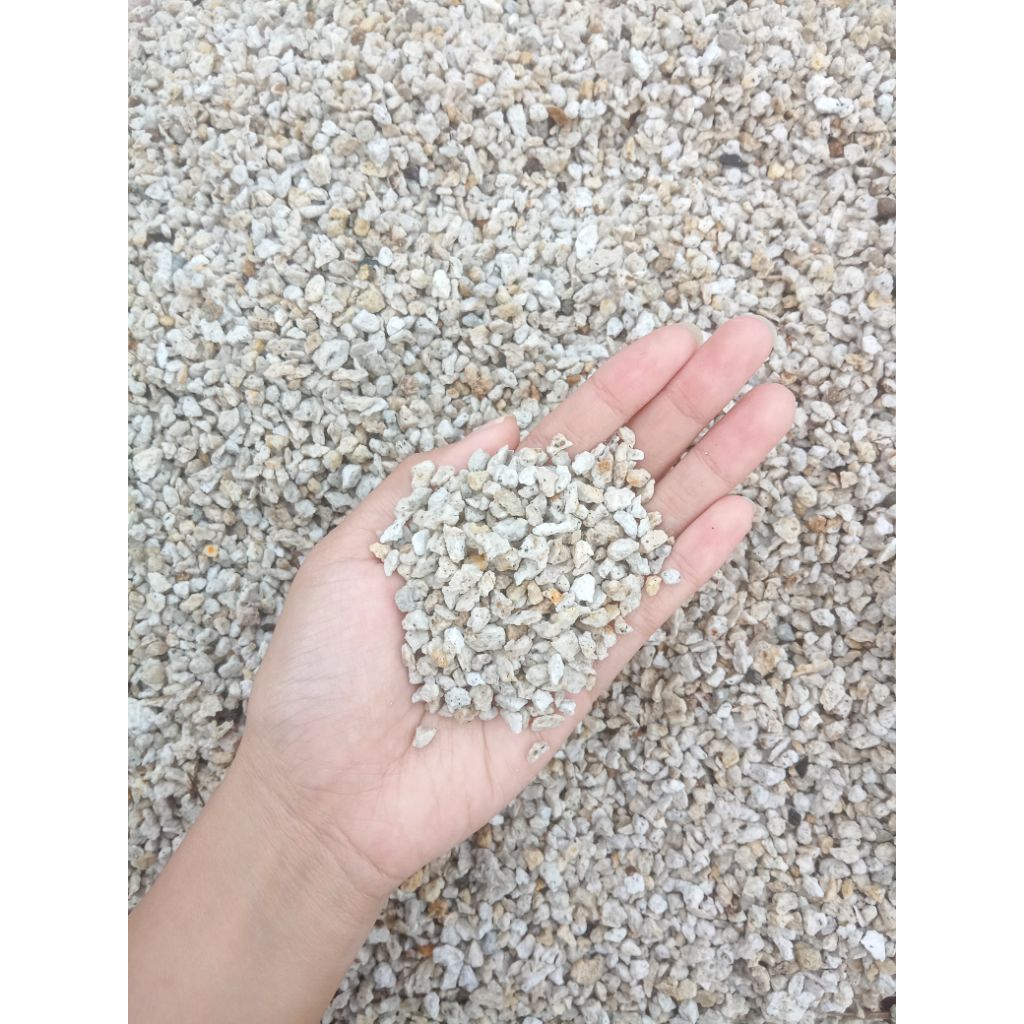 media tanam pumice stone/batu apung untuk tanaman