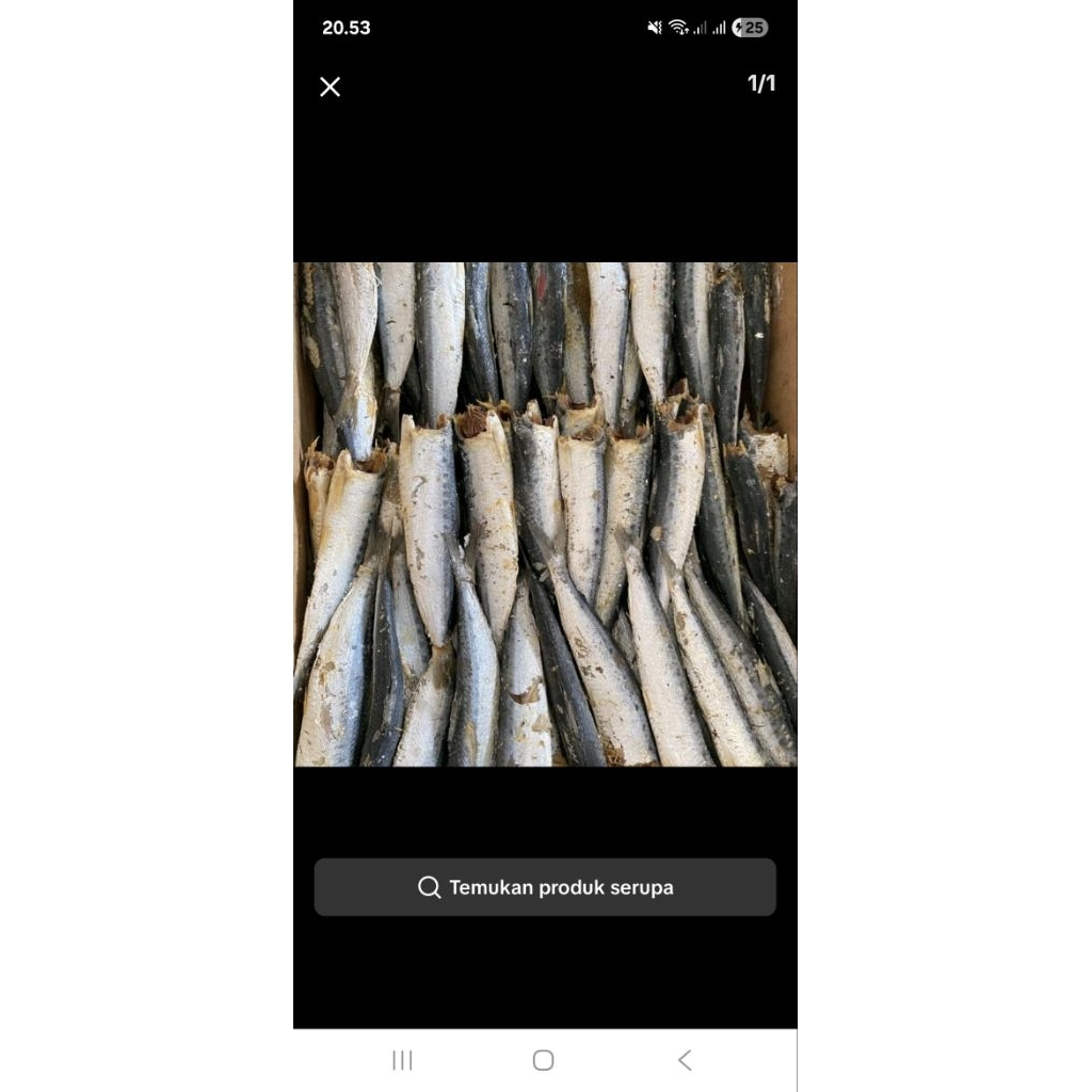 ikan asin rebus , ikan asin rebus lampung murah