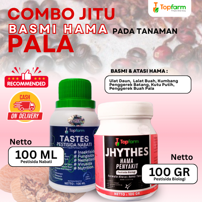 Insektisida Buah Pala / Obat Hama Buah Pala / Obat Hama Ulat Buah Pala / Insektisida Pembasmi Hama T