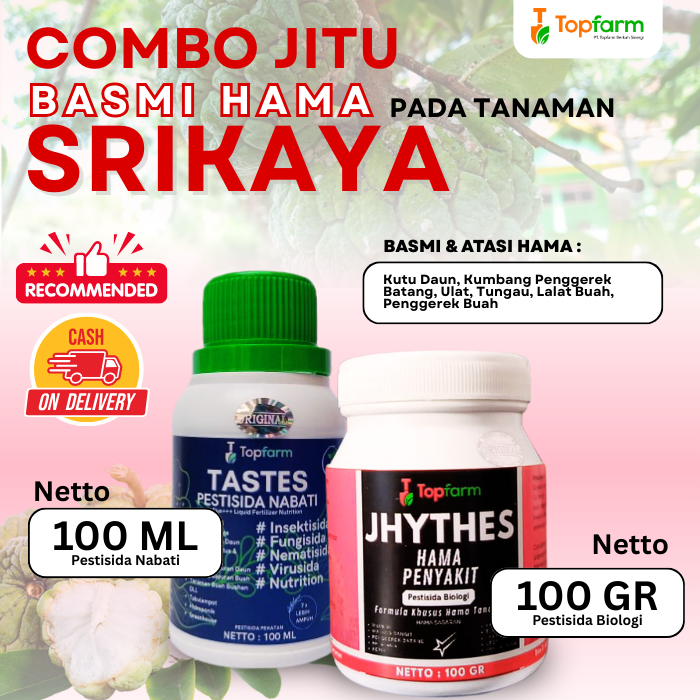 Insektisida Tanaman Srikaya / Obat Hama Tanaman Srikaya / Obat Hama Ulat Buah Srikaya / Obat Semprot