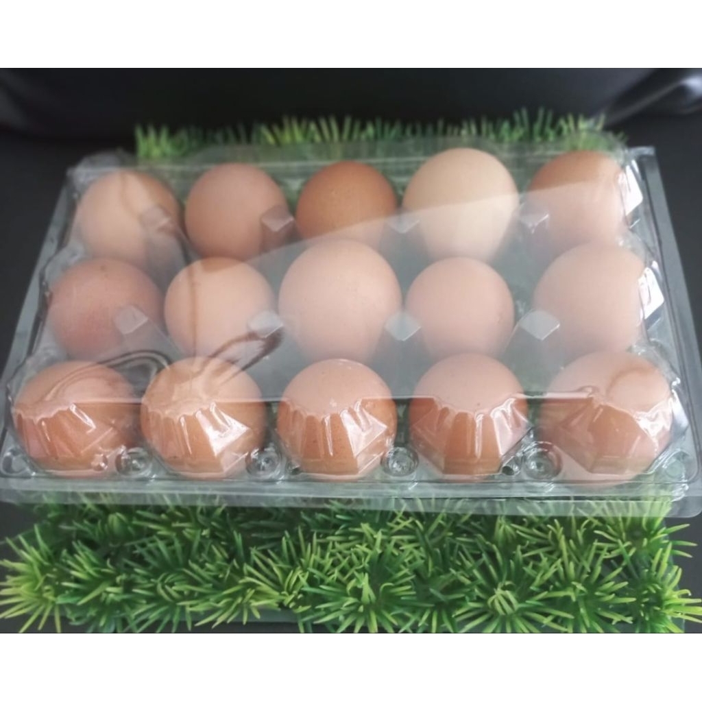 Telur ayam packing Mika isi 15 butir