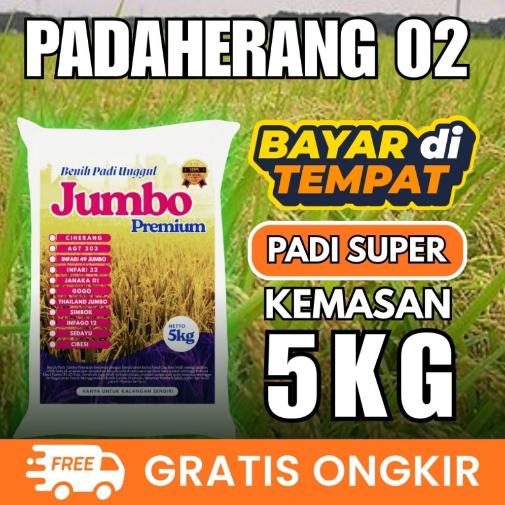 [ AGEN BENIH PADI ] Benih padi padaherang 02 5kg Padaherang tahanrebah berbobot