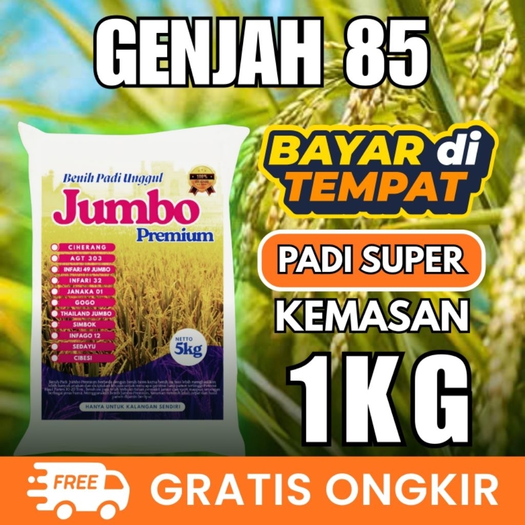 [ AGEN BENIH PADI ] Benih Padi Srikandi genjah 85 hst, nasi pulen bobot mantap 1kg