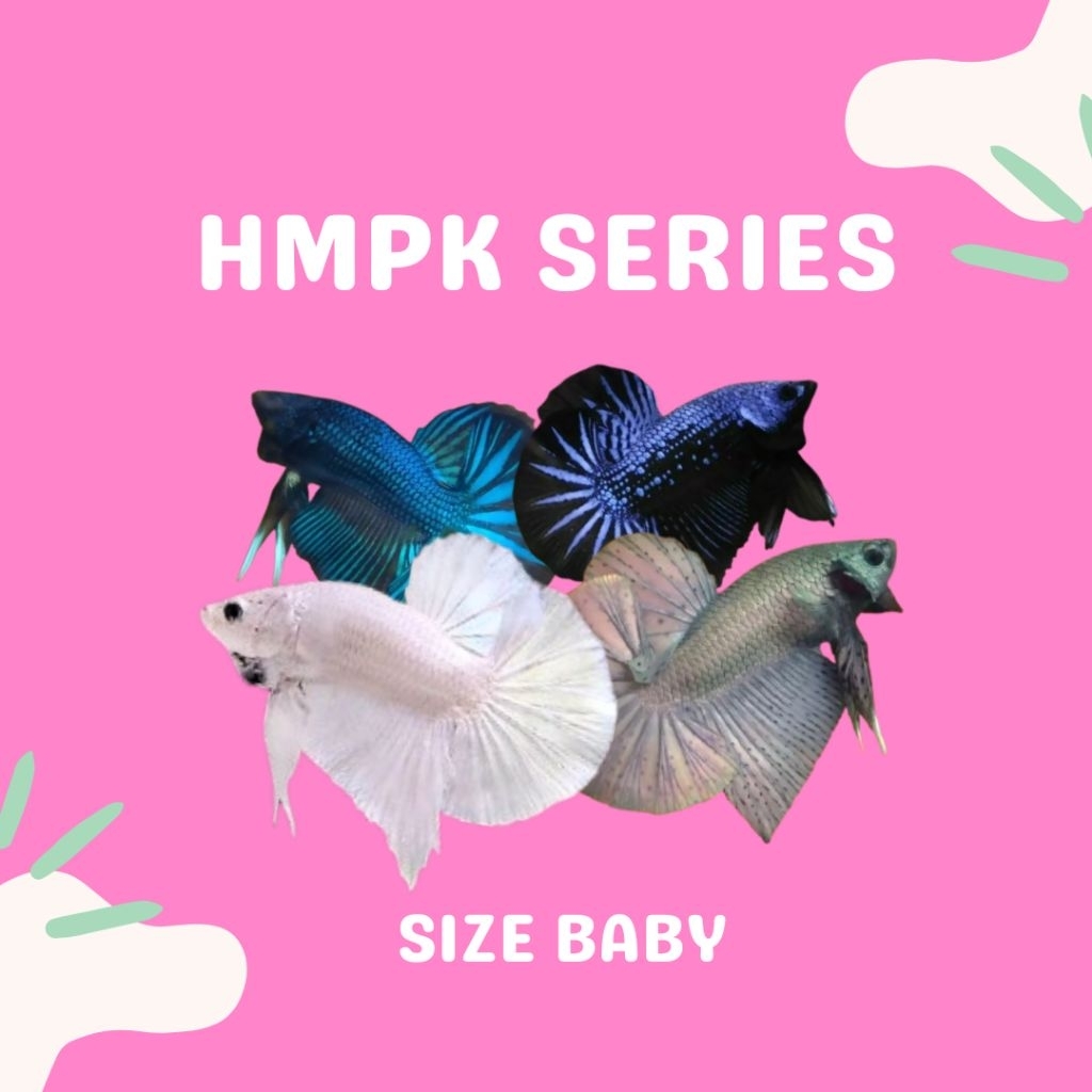 CUPANG HMPK SERIES SIZE BABY