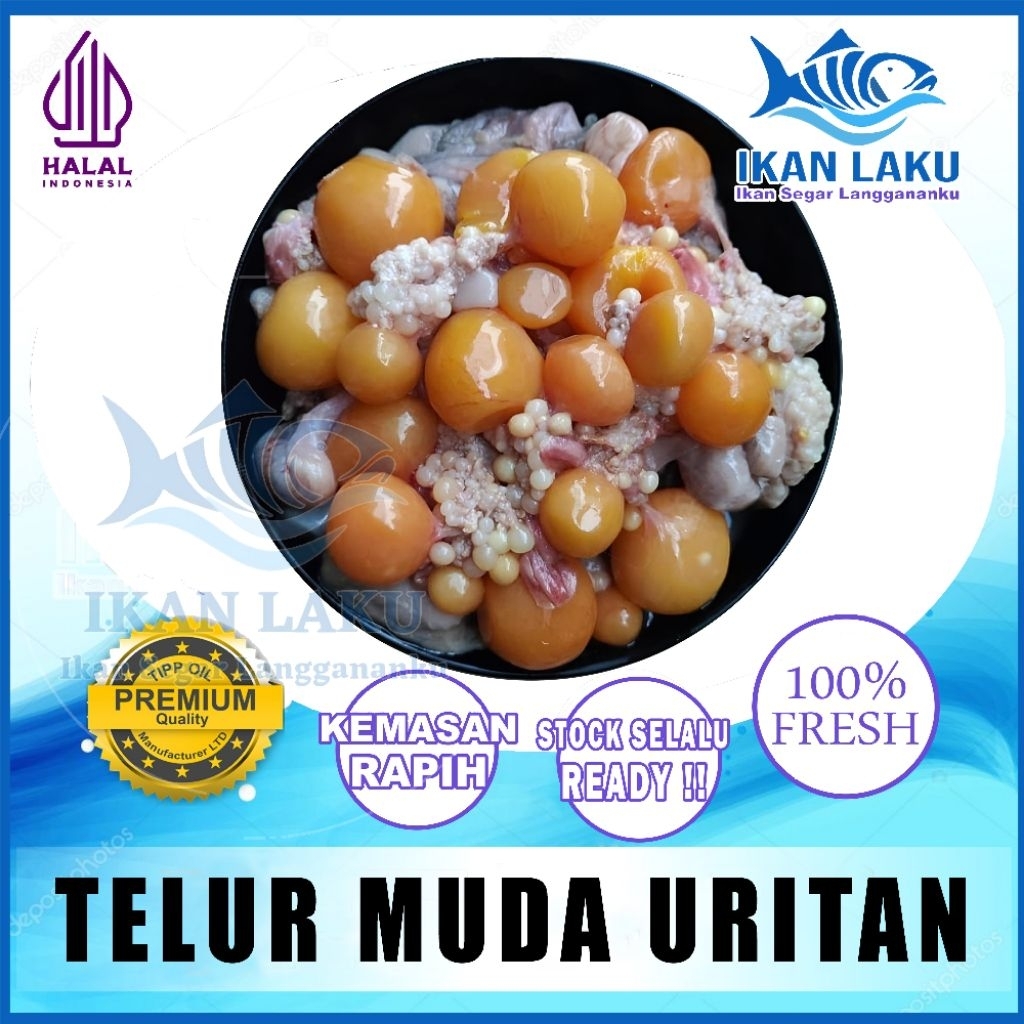 Telur Muda Ayam Uritan 1kg Premium Telur Ayam Uritan Fresh Praktis Siap masak