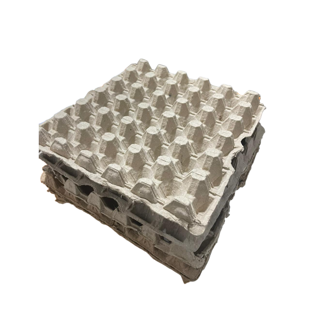 TEMPAT RAK TELUR / EGG TRAY BEKAS KARTON 30 LUBANG TELUR AYAM