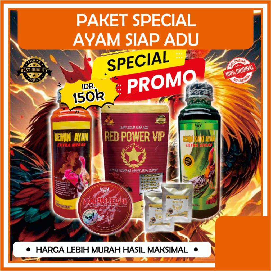 PAKET SPECIAL AYAM SIAP ADU rawatan lengkap ayam aduan maksimal agresif kulit Merah merona