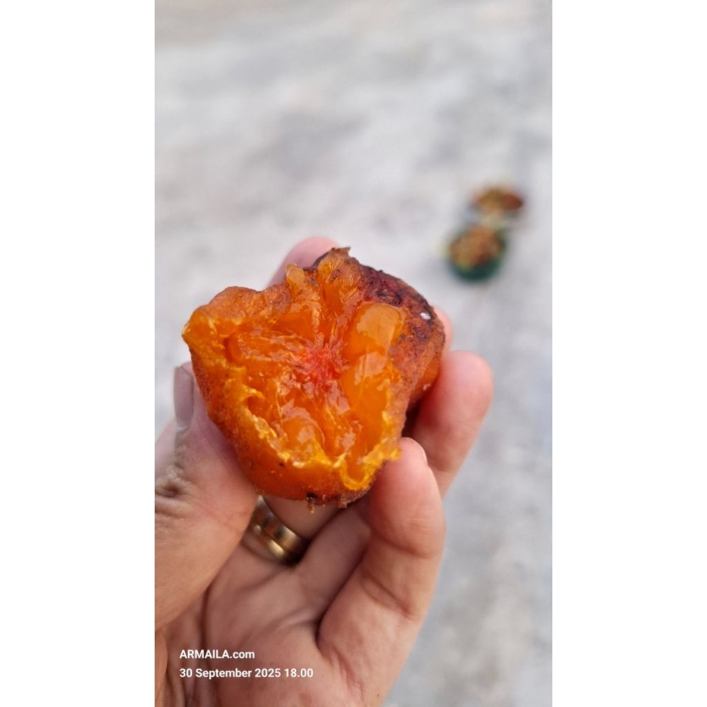 Buah Kesemek Kering Manisan Kesemek Dried Persimmon Sai Pia Saipia Manisan Kesemek Alami Kesemek Sal