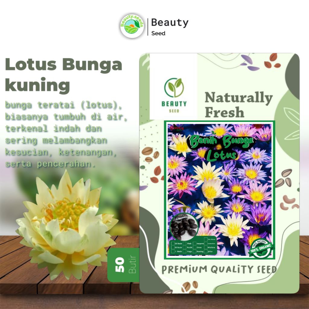 Benih Biji Lotus Bunga Teratai Isi 50 Biji - Bunga Teratai Warna Kuning