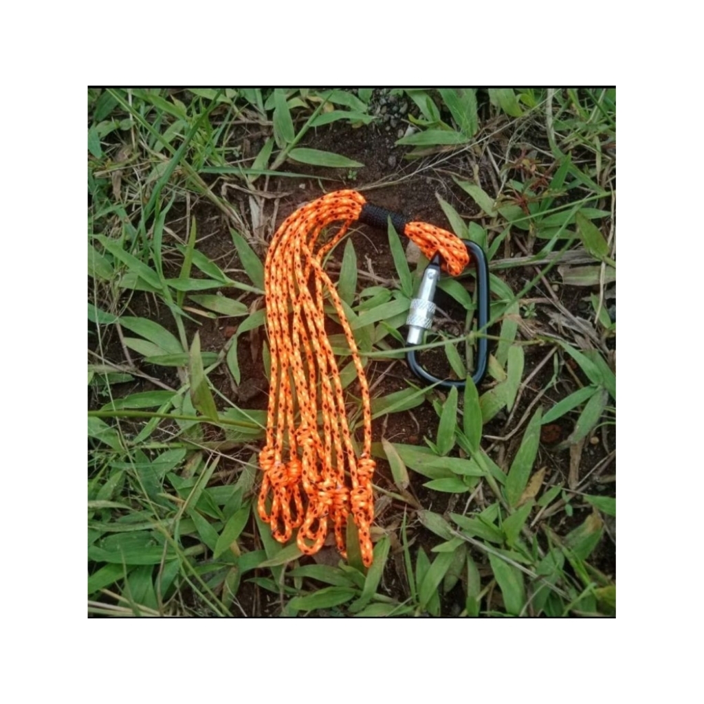 TALI BURUAN RUAK RUAK TEKUKUR MERPATI DLL