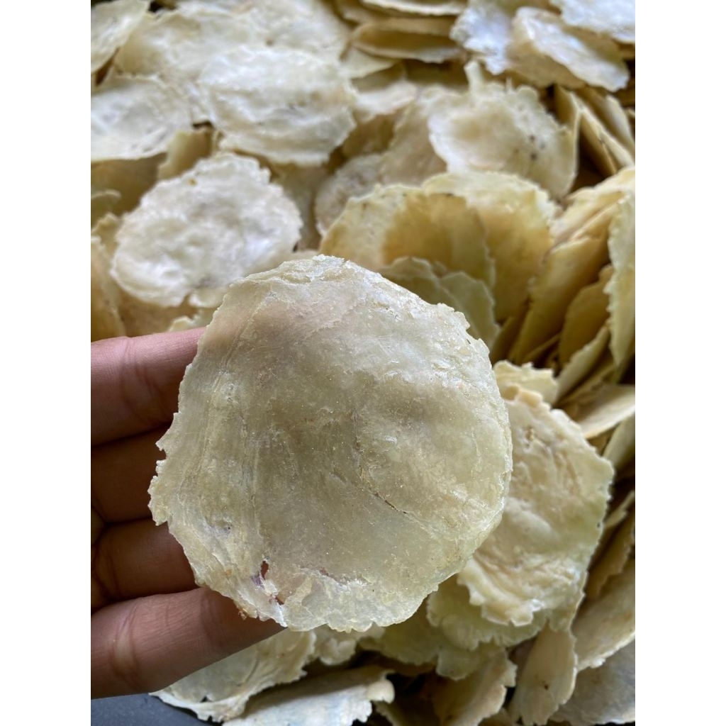 EMPING MELINJO MENTAH LB AGAK TEBAL 1 KG