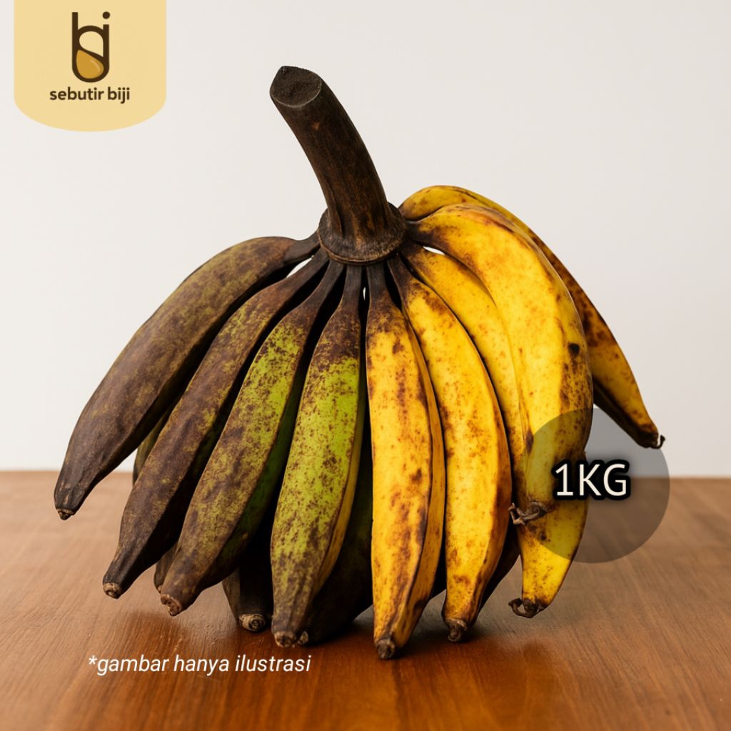 Pisang Tanduk / Pisang Galek Mentah Mengkel Per Kg – Cocok Goreng, Kolak, Sale