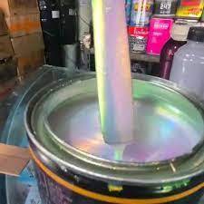 Cat Bunglon 3 Dmensi / Cat Bunglon putih