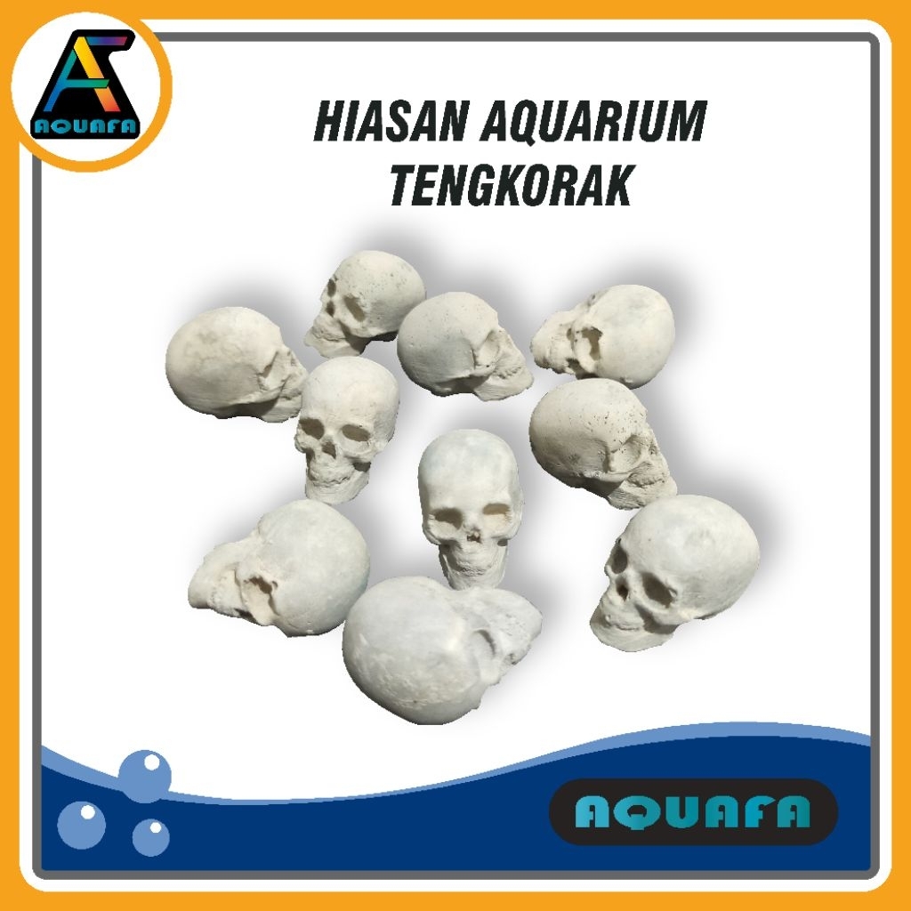 Hiasan Tengkorak Aquarium                                                                           