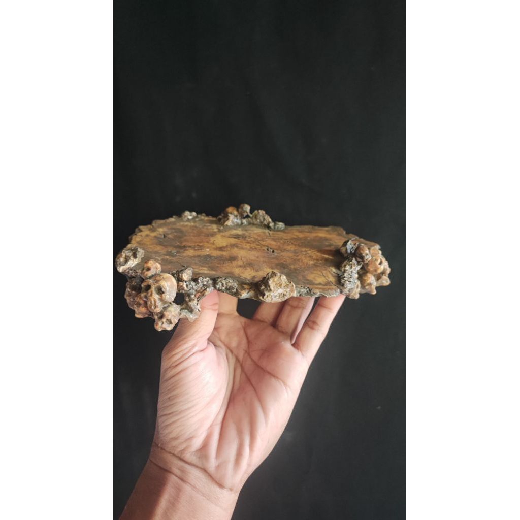 Tatakan Meja Bonsai mini