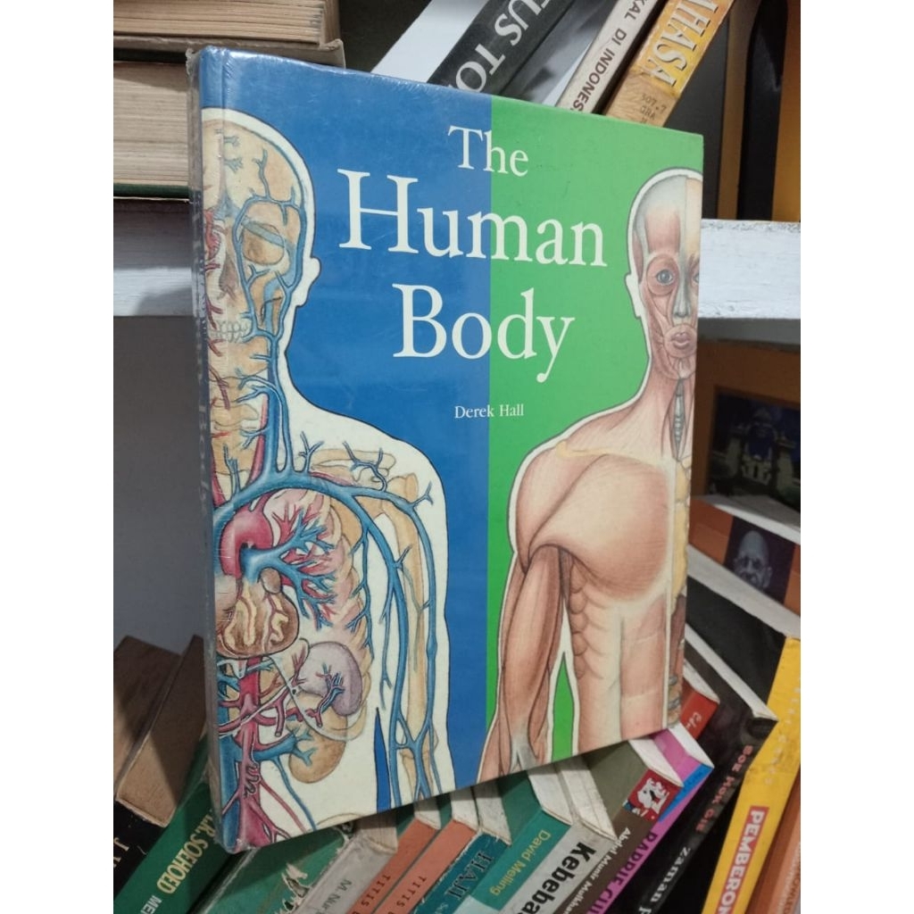 THE HUMAN BODY
