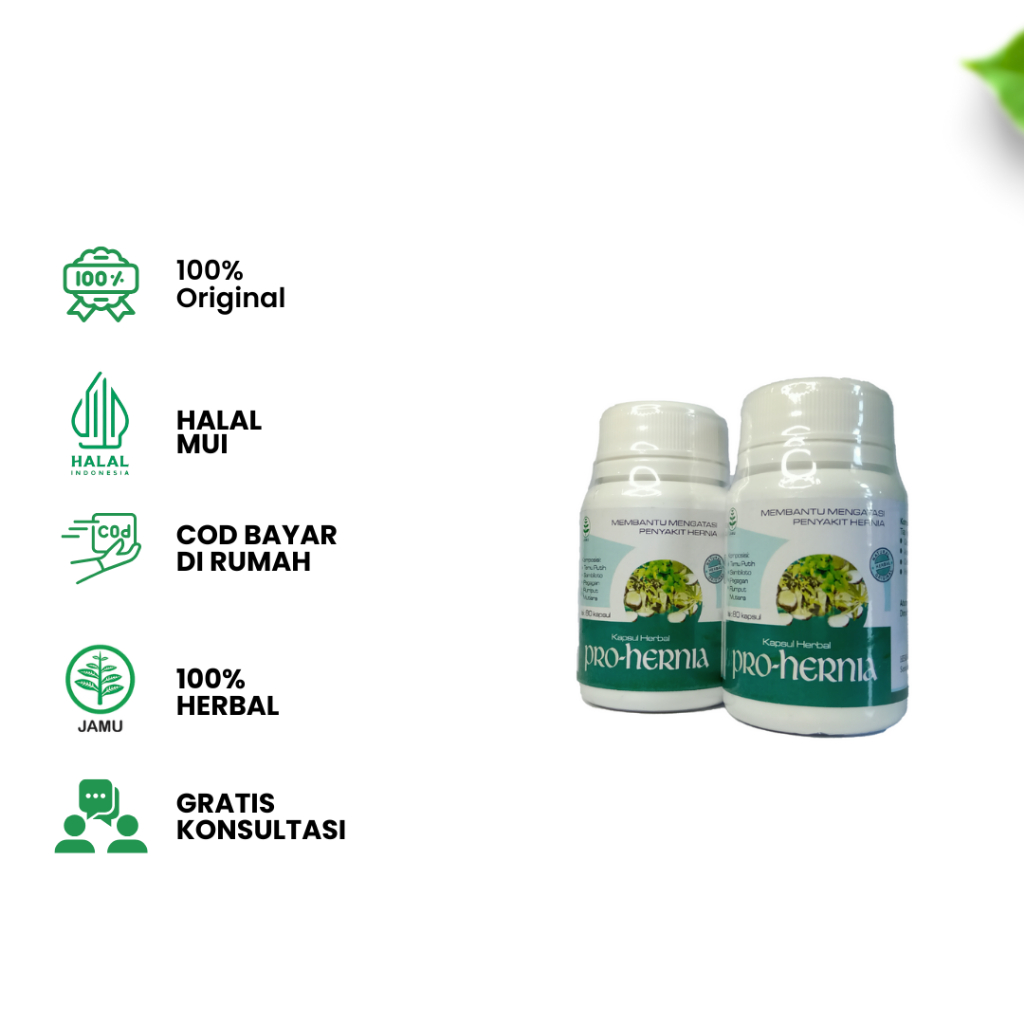 Kapsul pro hernia obat herbal hernia atau turun bero dengan kapsul pro hernia isi 80 kapsul