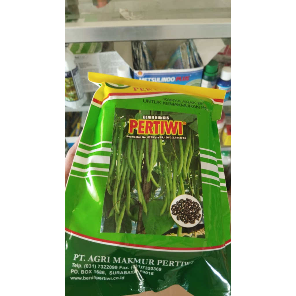 BENIH BUNCIS PERTIWI kemasan 500 gram ( gratis ogkir )/ Buncis Pertiwi ( Bisa COD)  buncis Pertiwi 5