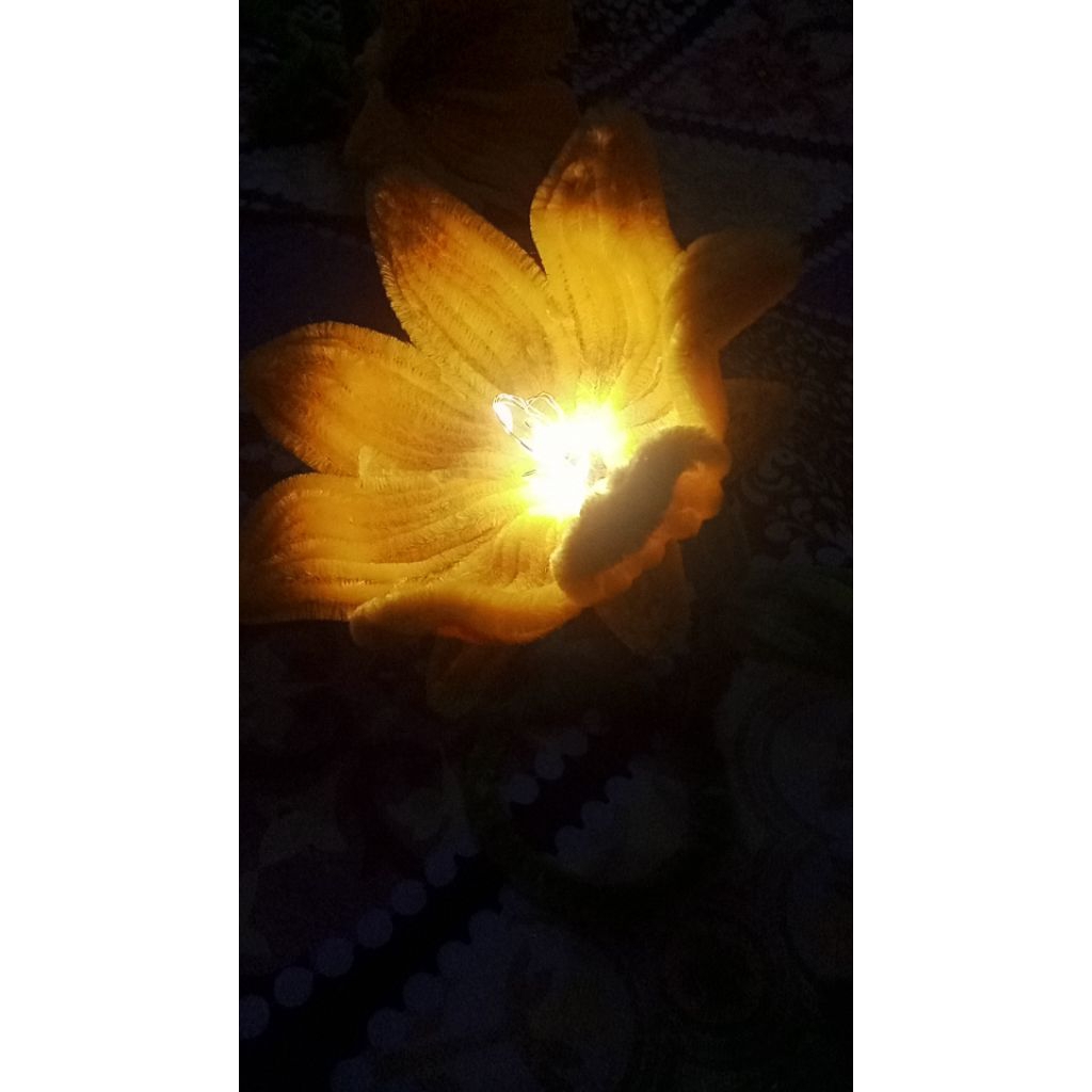 Bunga Lampu Hias