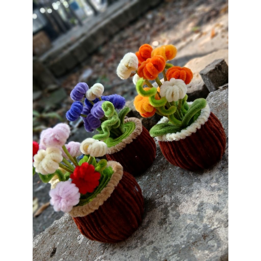 Bunga pom - pom besar