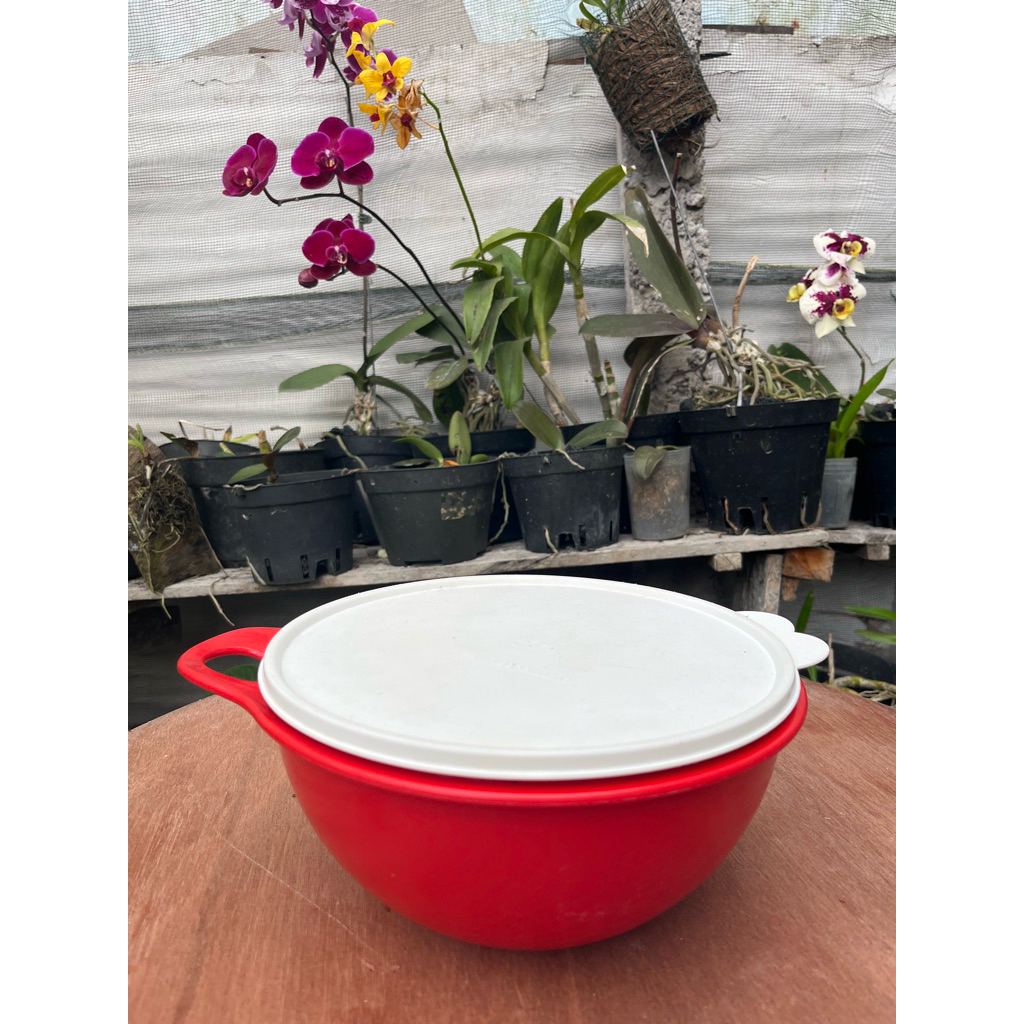 Servalier bowl tupperware bakul nasi second tupperware kapasitas 3 liter