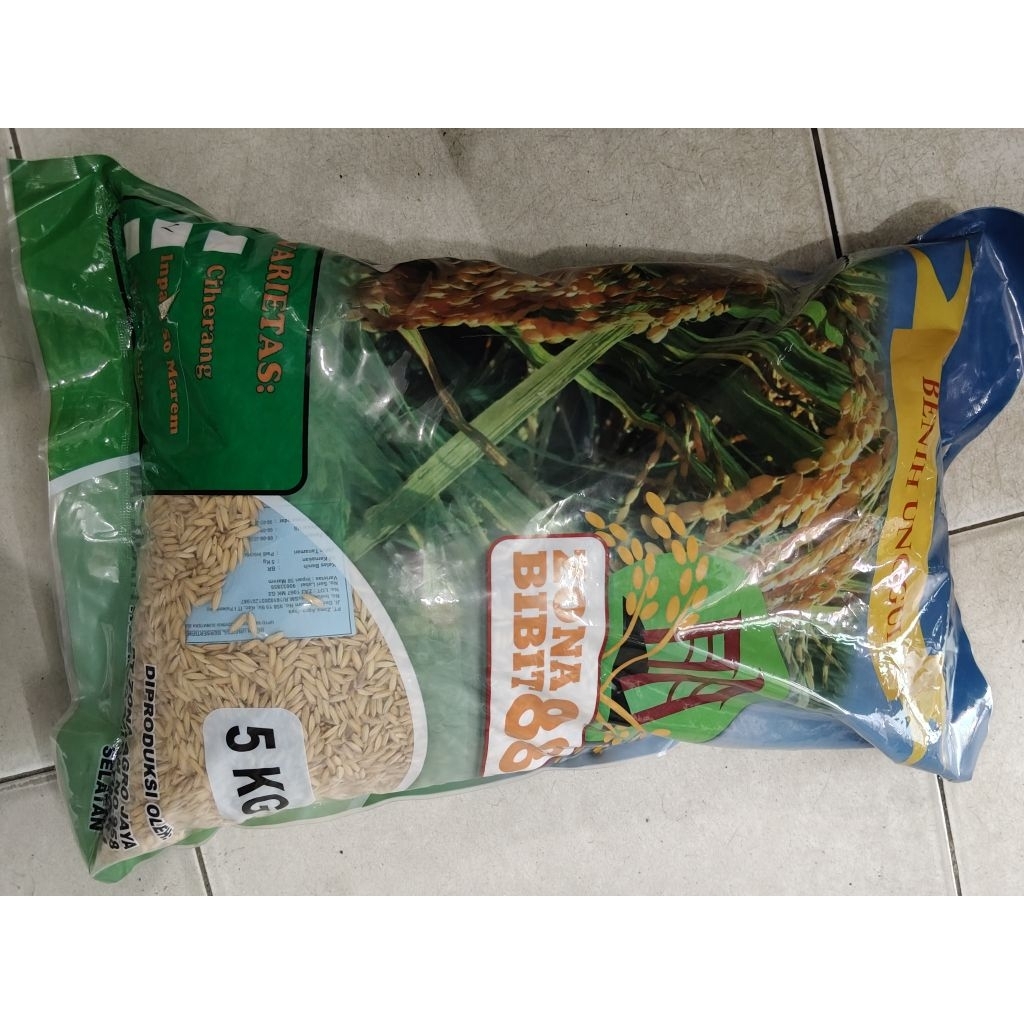 BIBIT PADI CIHERANG 50 KEMASAN 5 KG