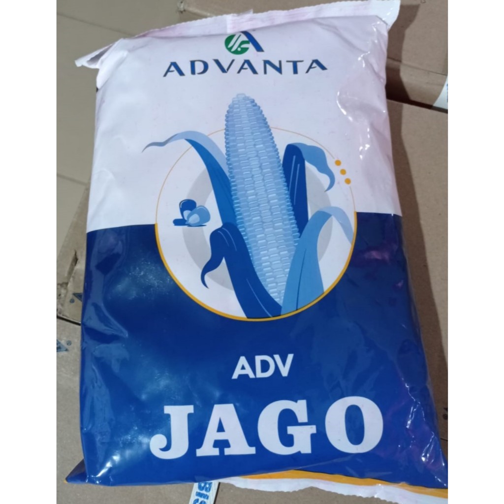 Benih Jagung ADV JAGO / Benih Jagung ADV JAGO