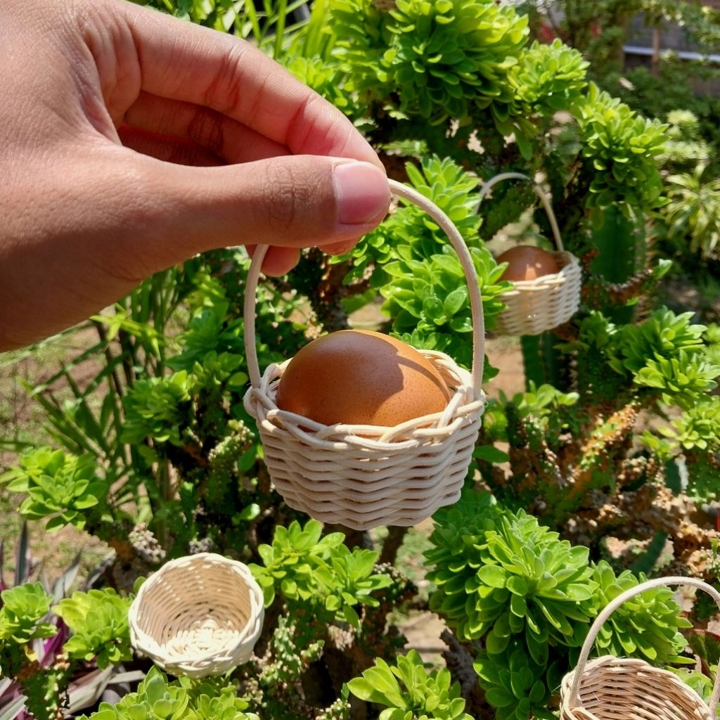 Keranjang Rotan Telur Kecil