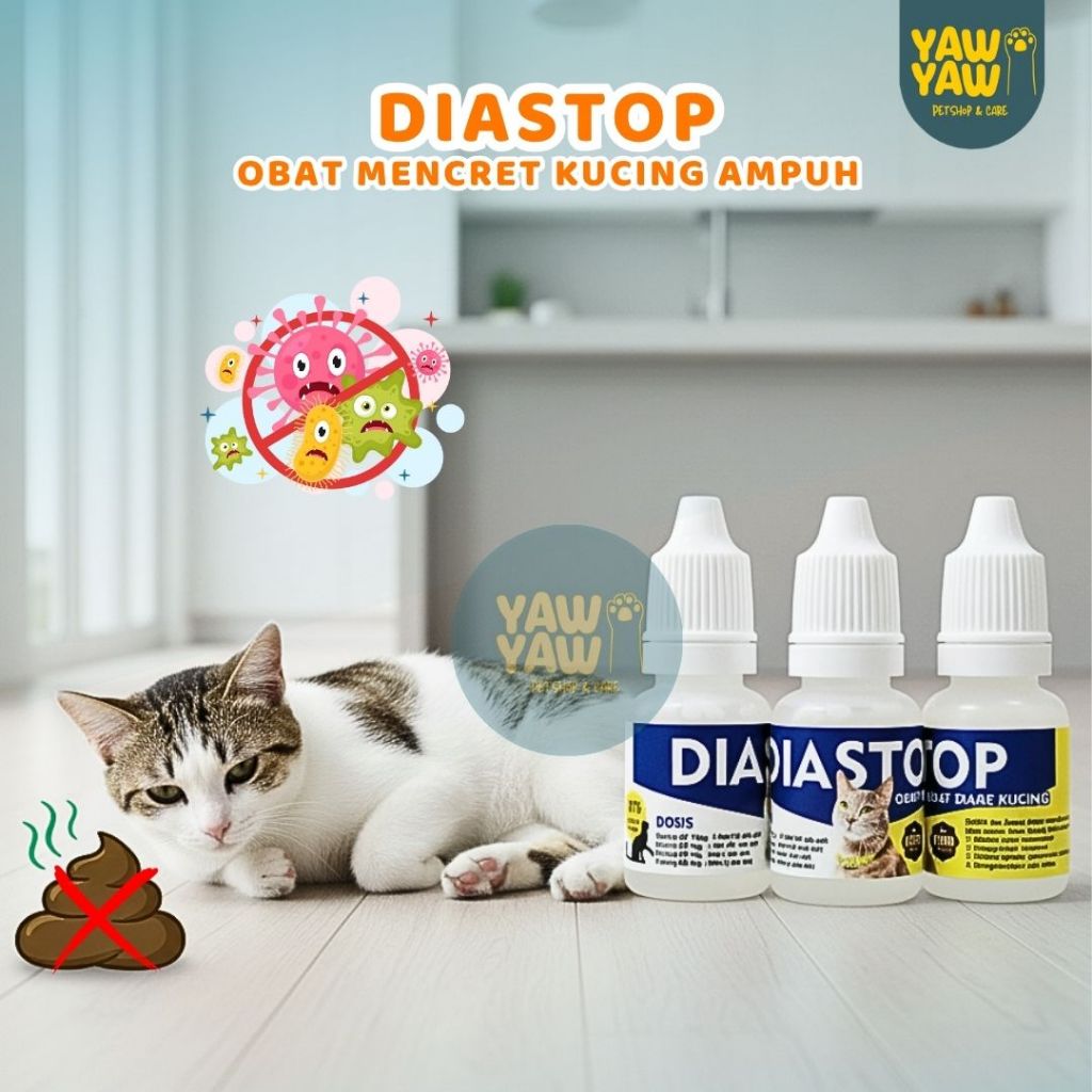Obat Mencret DIASTOP Obat Mules Kucing Diastop Obat Diare Kucing Obat Berak Darah Kucing DIASTOP