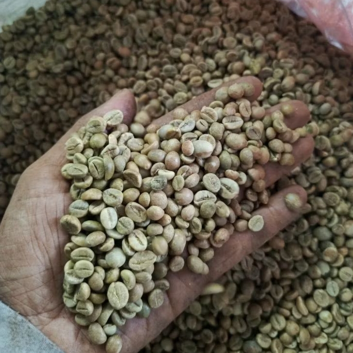 Green bean/Biji Kopi Robusta Natural 20kg Gread A petik merah Cibunar Linggajati Kuningan Jawa Barat