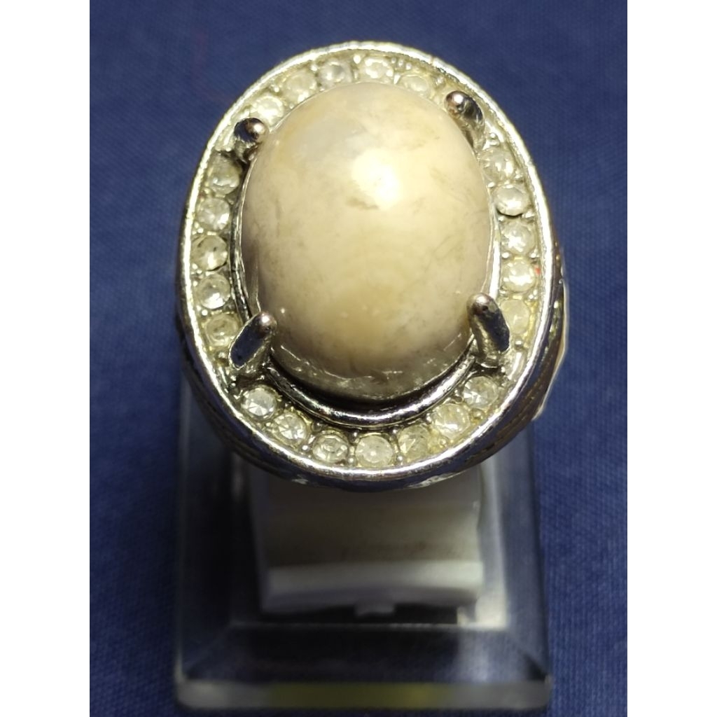 Natural Fosilized Kembang Johar Cirebon / Batu Kembang Johar Cirebon, Putih