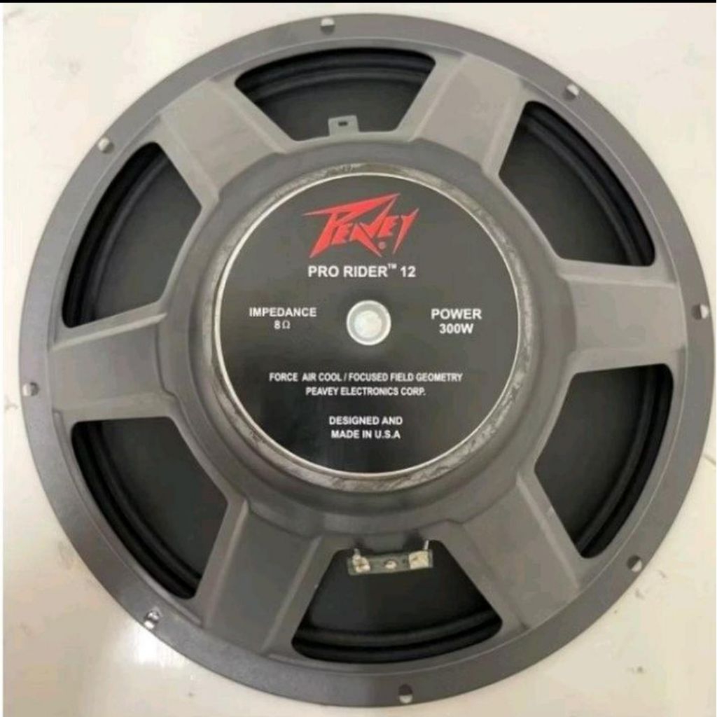 Speaker Peavey Prorider 12 inch 300 Watt Mid Low