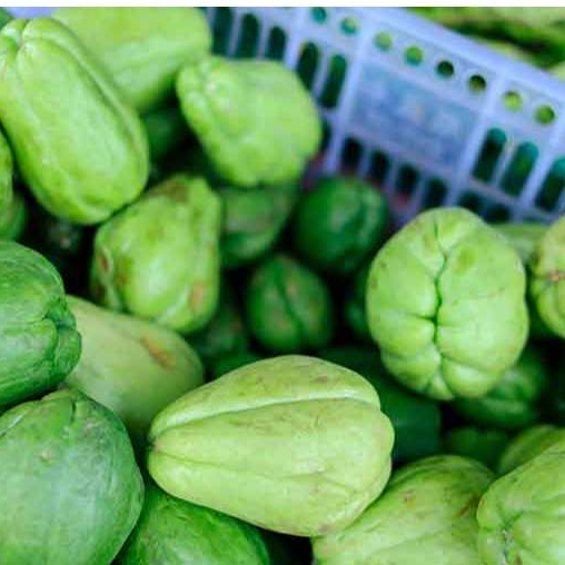 Labu Siam Japan Sayur Segar | Sayuran ID Padang