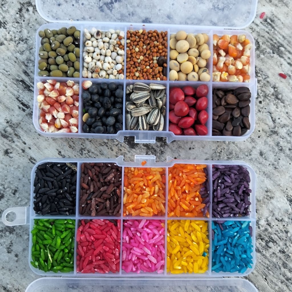 PAKET BIJI BIJIAN BAHAN KOLASE BIJI BIJIAN KOLASE BIJI BIJIAN UNTUK KOLASE KOLASE BIJI BIJIAN