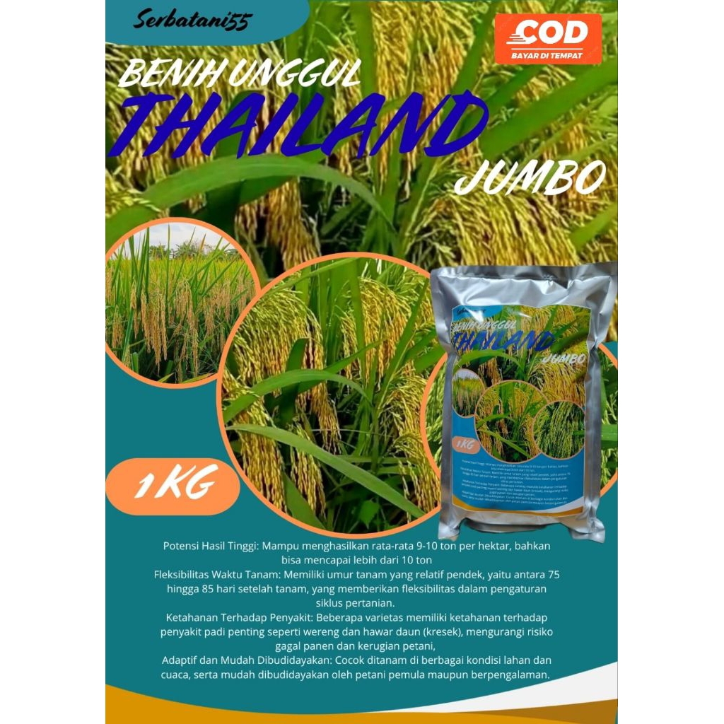 Benih padi bibit padi NEW SUPER PREMIUM PRODUK THAILAND JUMBO 1 kg