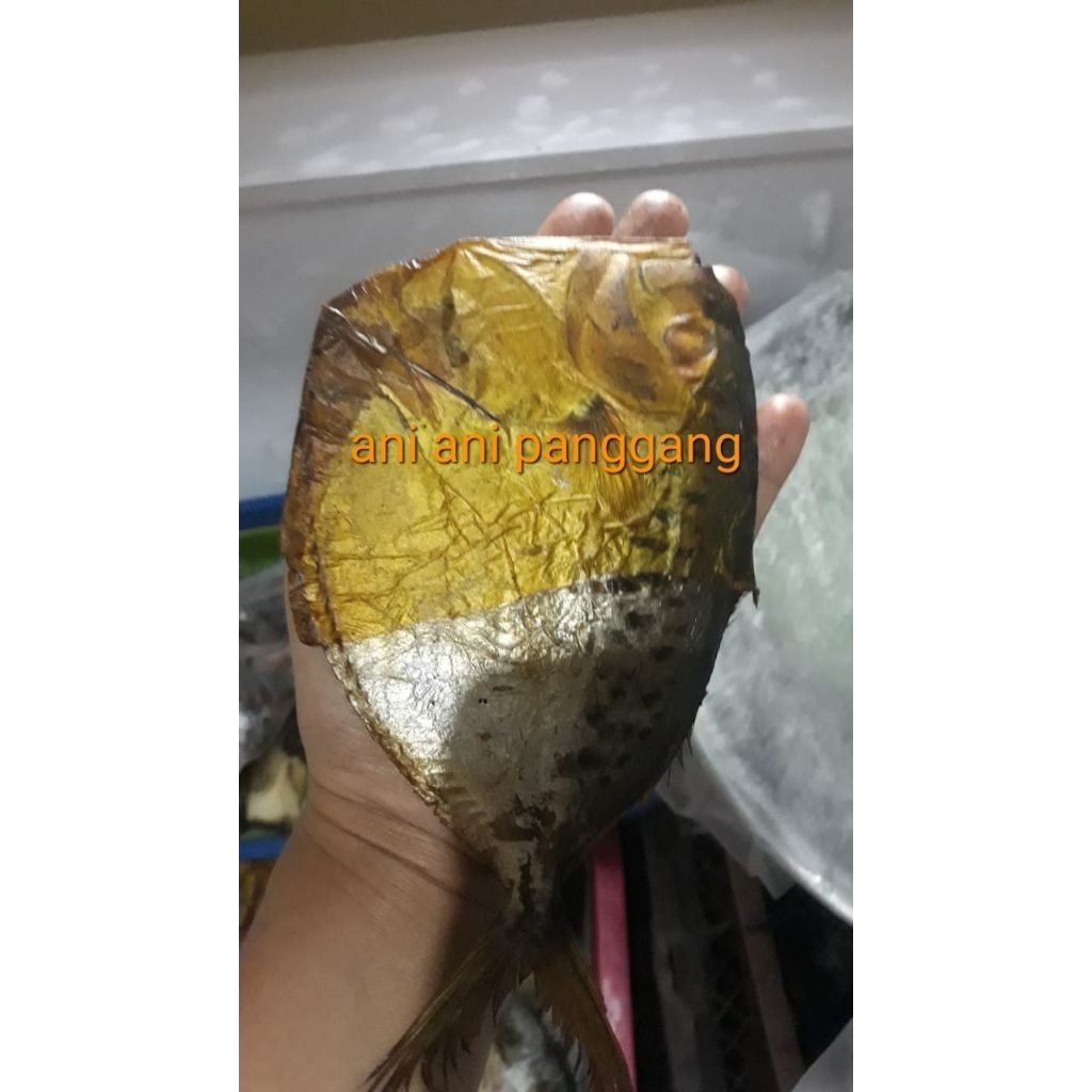 ikan asap ani ani semar pemalang