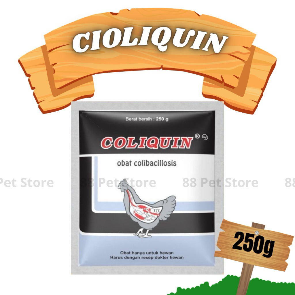 Coliquin 250 gr Obat Colibacillosis dan Kolera