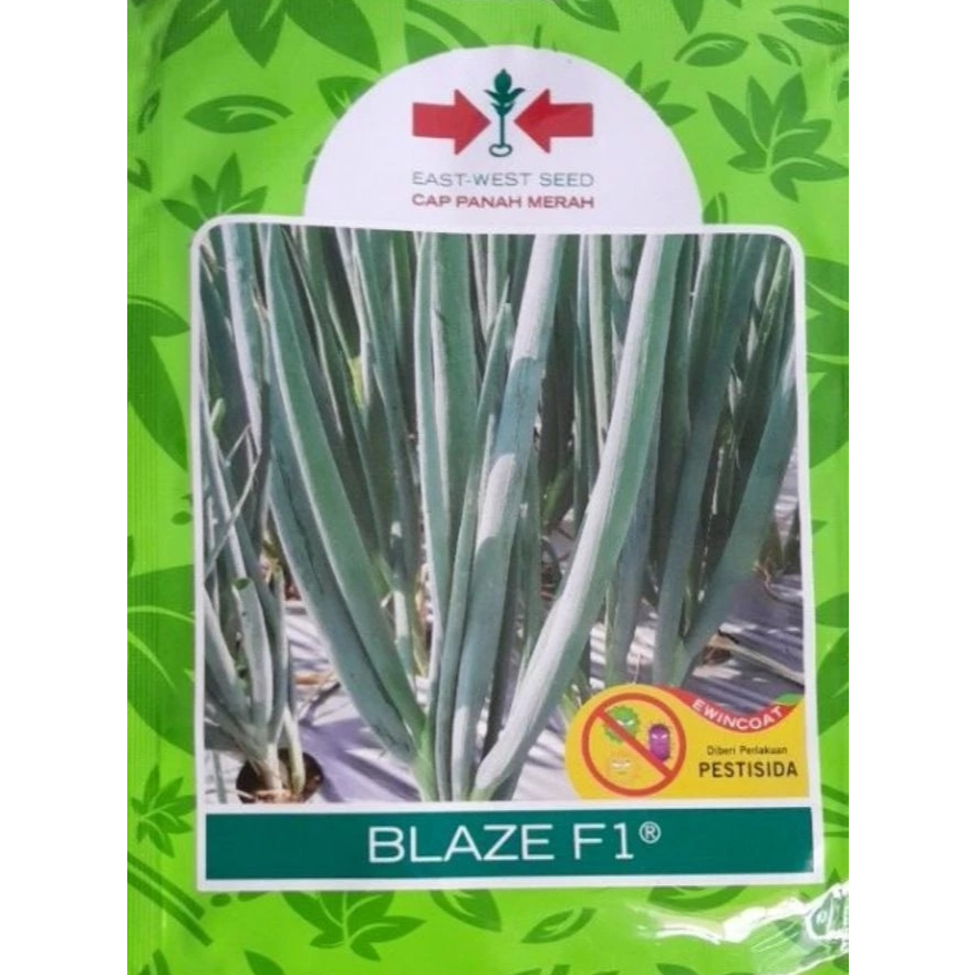 Blaze F1 /Daun bawang cap panah merah