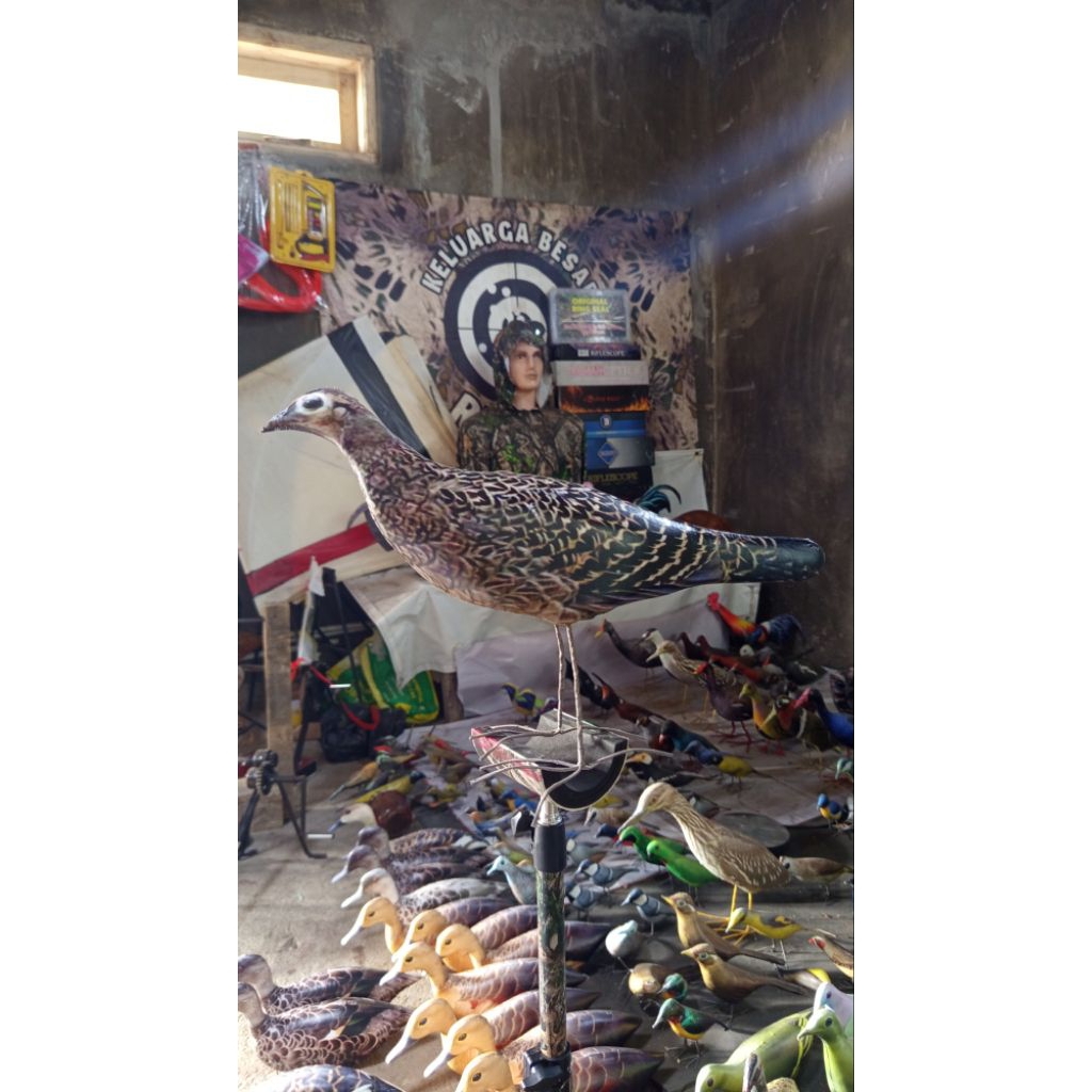 patung betina ayam hutan cawehwer jontrot ayamhutan hijau dekorasi taman ayam hutan mirip aslintahan