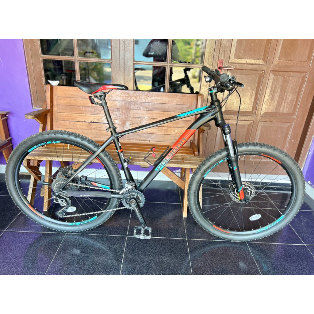 Polygon Xtrada 5 2019