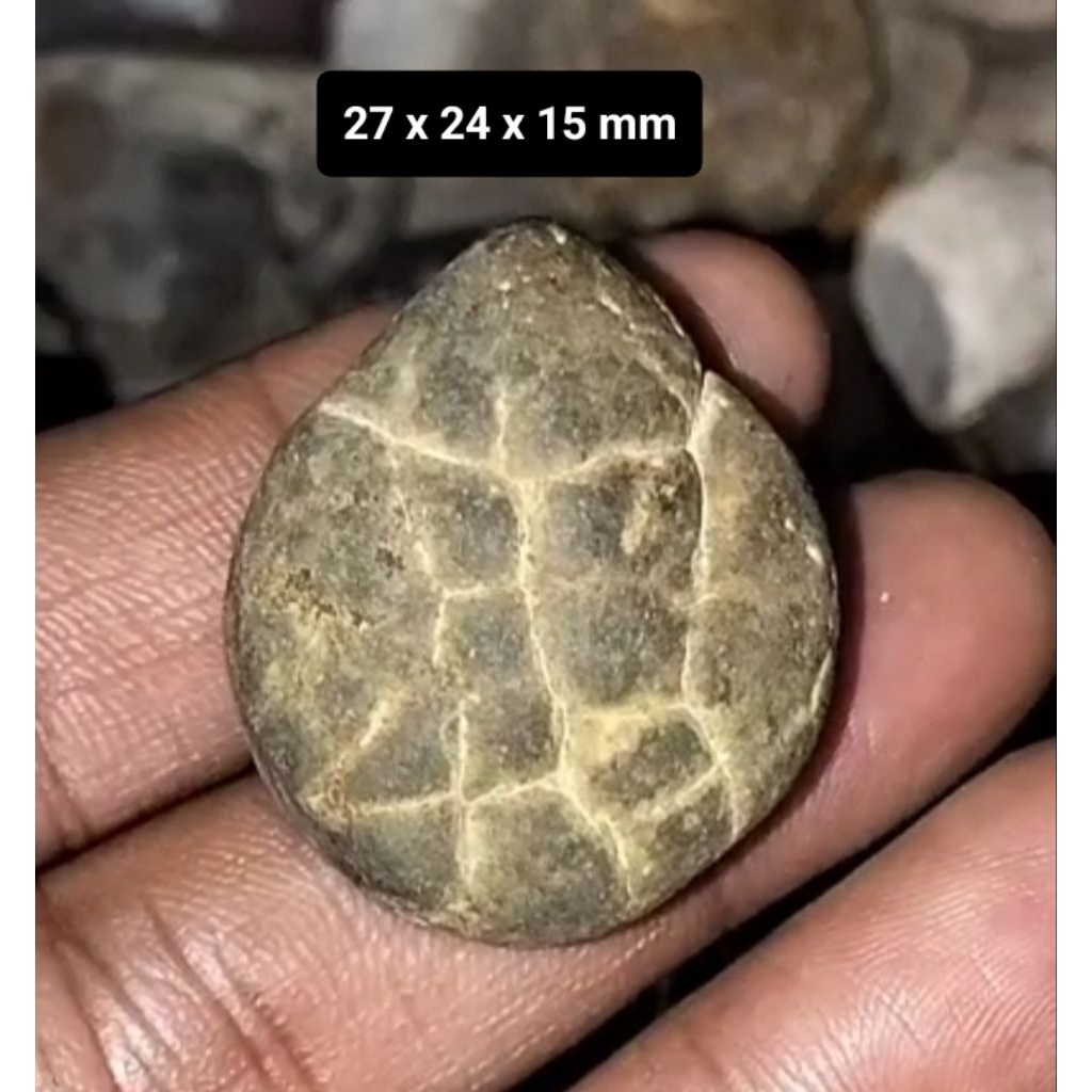 Batu akik Kijing Bungkem Jalasutra asli alam