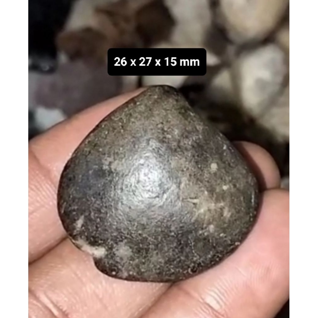 Batu Akik Kijing Bungkem asli alam