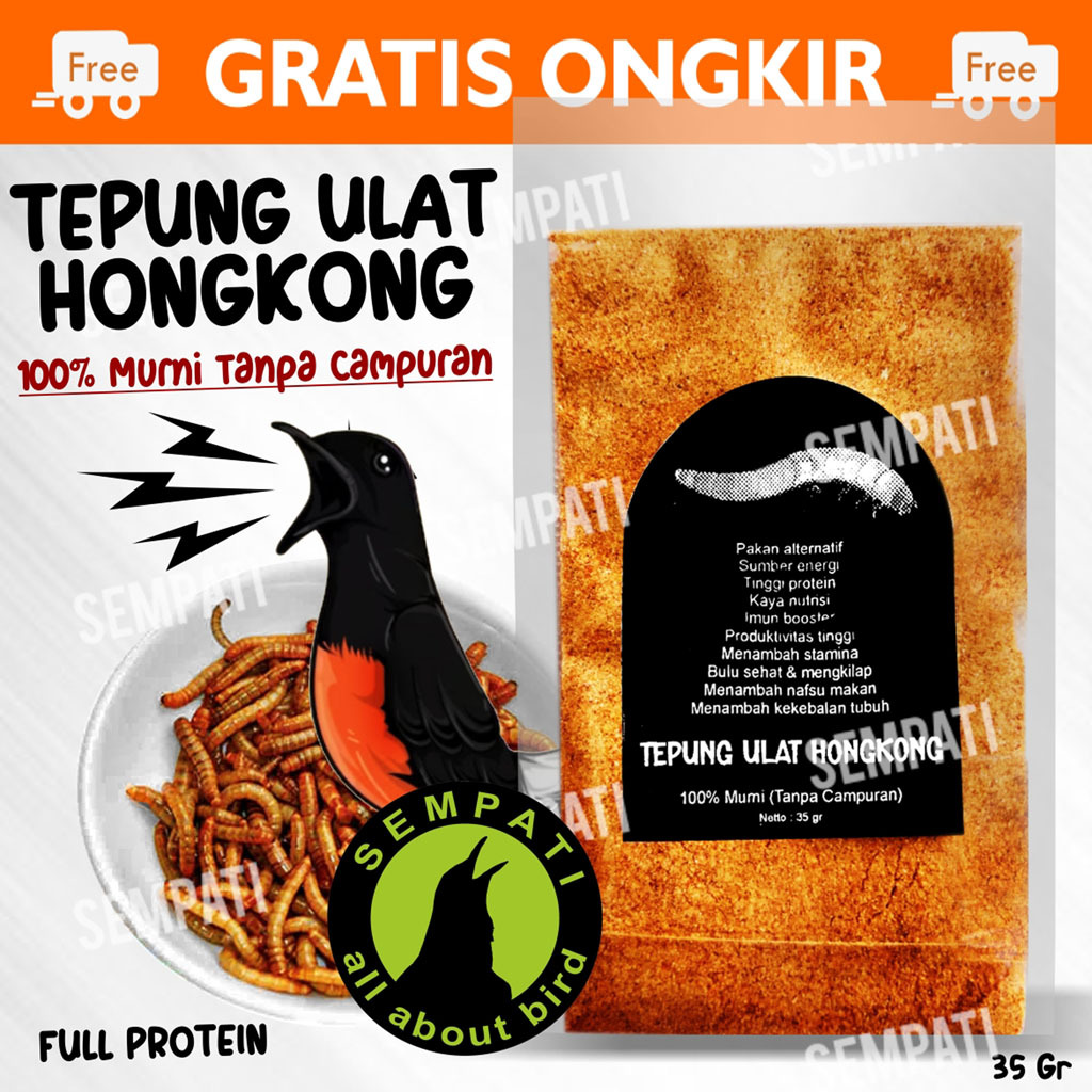 SEMPATI TEPUNG ULAT HONGKONG PAKAN BURUNG ANIS CUCAK IJO PLECI KACER CUCAK ROWO JALAK MURAI