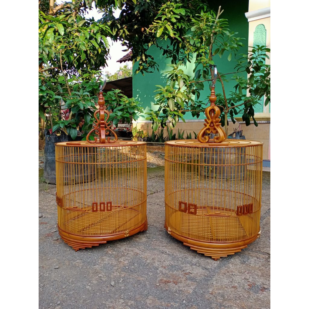 RFQ SANGKAR Murai Cungkok DM 53
