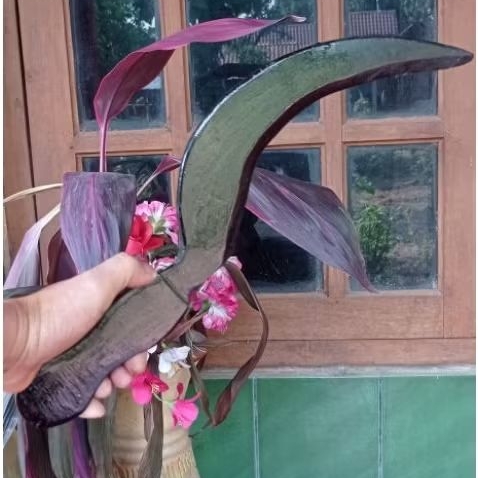 celurit kayu mainan  - celurit mainan  - celurit ipsi  - celurit peraga - celurit latihan  - celurit