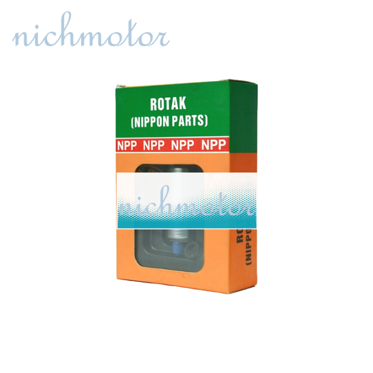 Rotak Rotax Vario 125 Pgm Fi npp